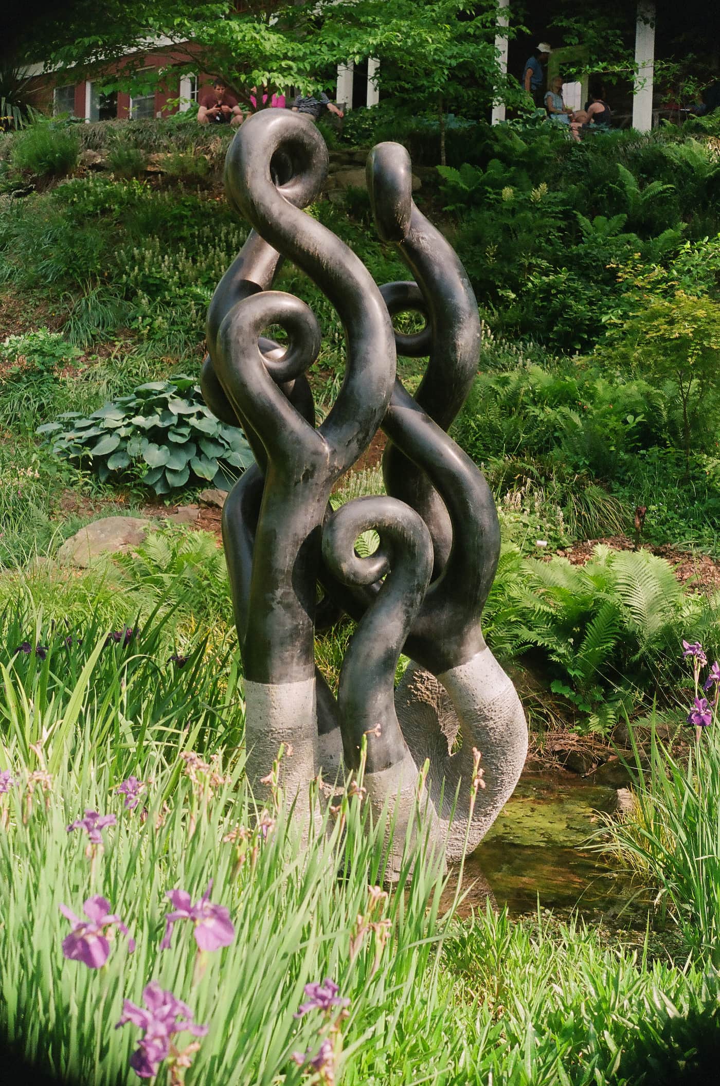 Portrait Photography