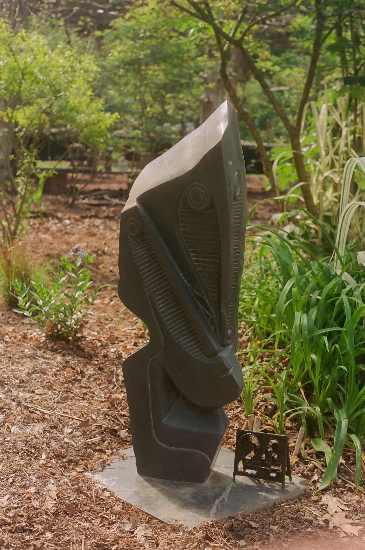 Portrait Photography