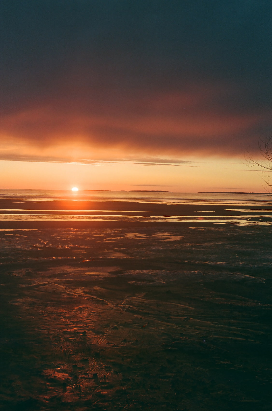 Portrait Photography