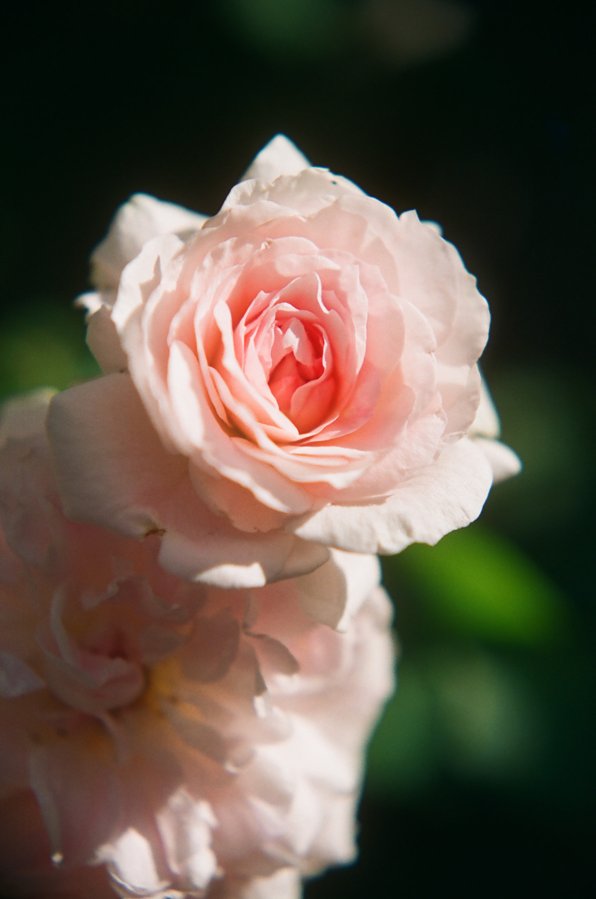 Artistic Photography