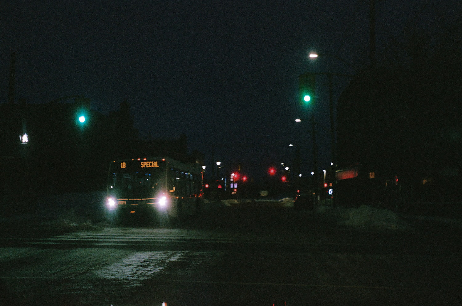 Portrait Photography