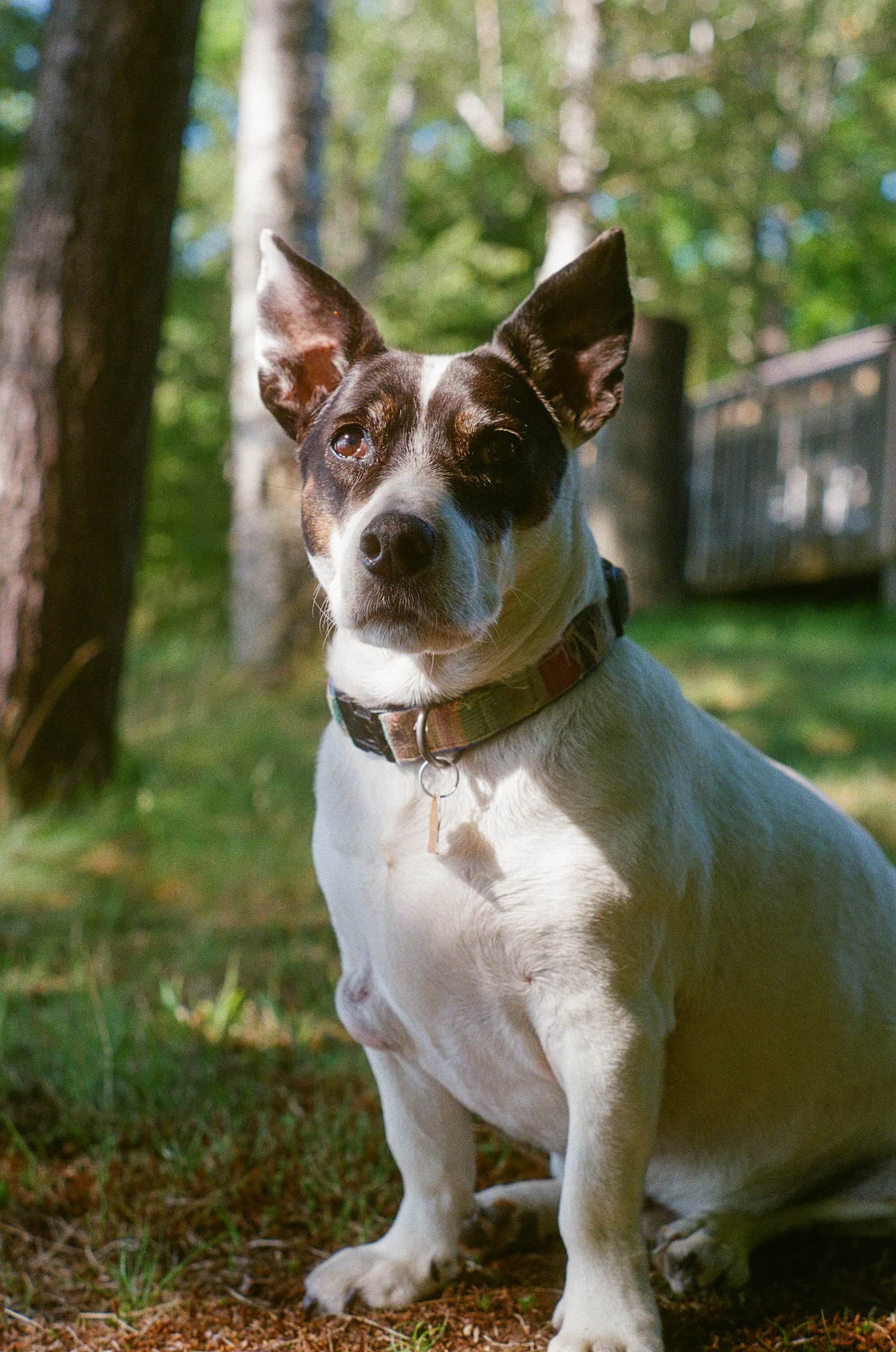 Portrait Photography